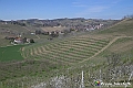 VBS_8888- Risvegli